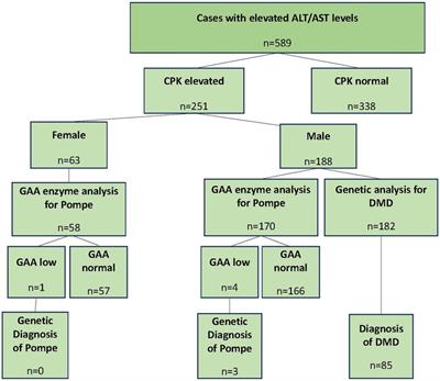 The frequency of Duchenne muscular dystrophy/Becker muscular dystrophy and Pompe disease in children with isolated transaminase elevation: results from the observational VICTORIA study